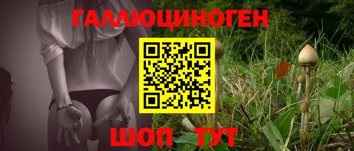 Псилоцибиновые грибы Cubensis Электросталь