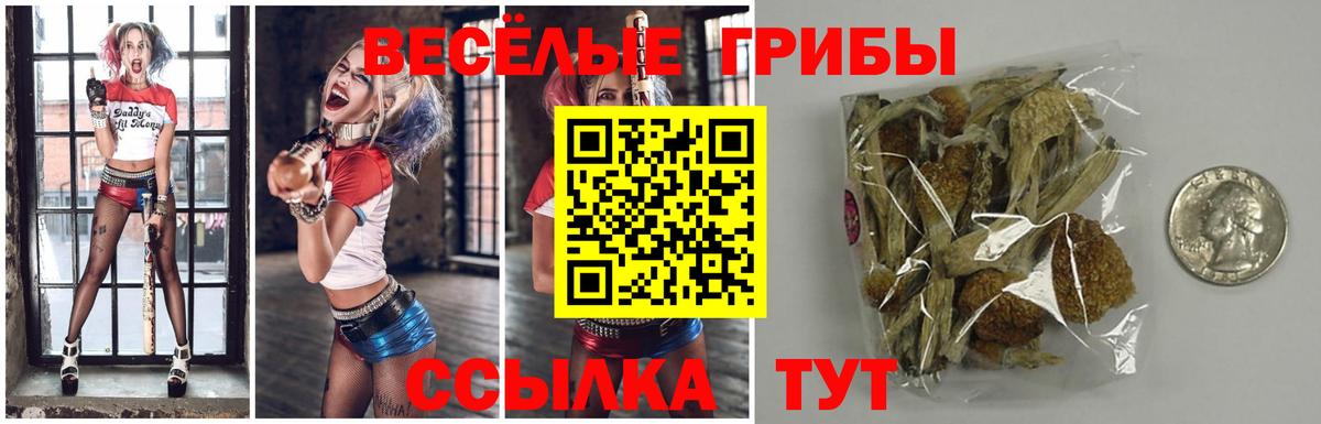 наркота  Галлюциногенные грибы Cubensis  Вход с VPN  Электросталь  Галлюциногенные грибы GOLDEN TEACHER 